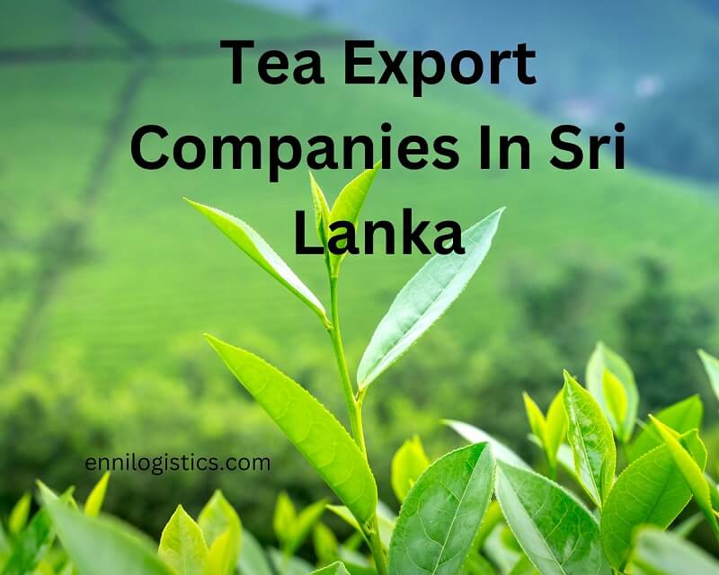 Largest Tea export companies in Sri Lanka Ennilogistics