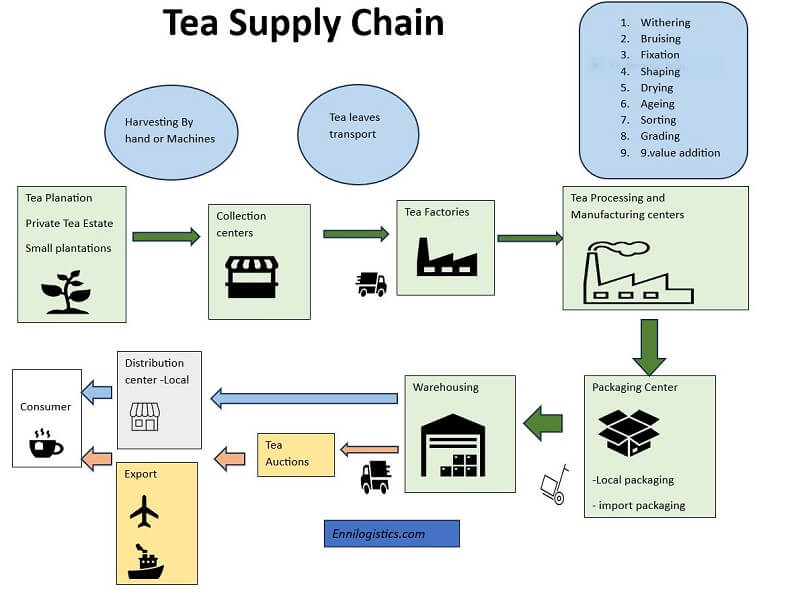 From Leaf to Lip: Tea Logistics Journey - Ennilogistics