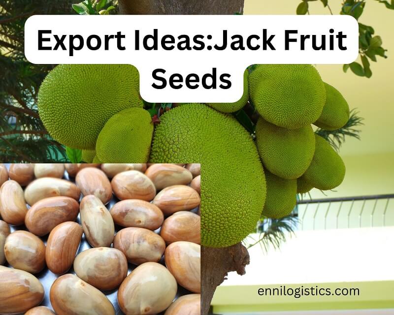 Export Business ideas for seeds: Jack fruit seeds