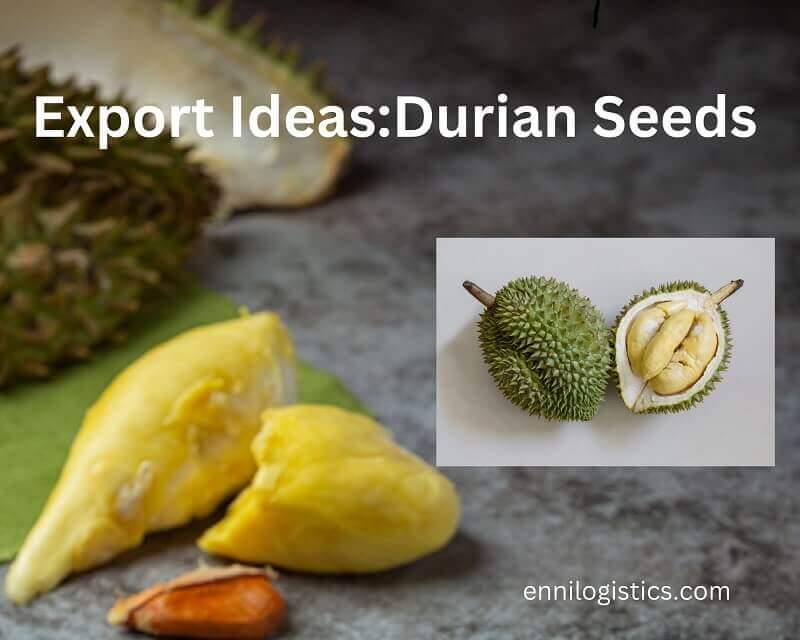 Export Business ideas for seeds: Durian seeds