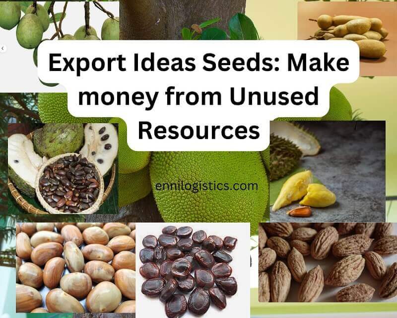Export Business Ideas for seeds Make money from Unused Seeds